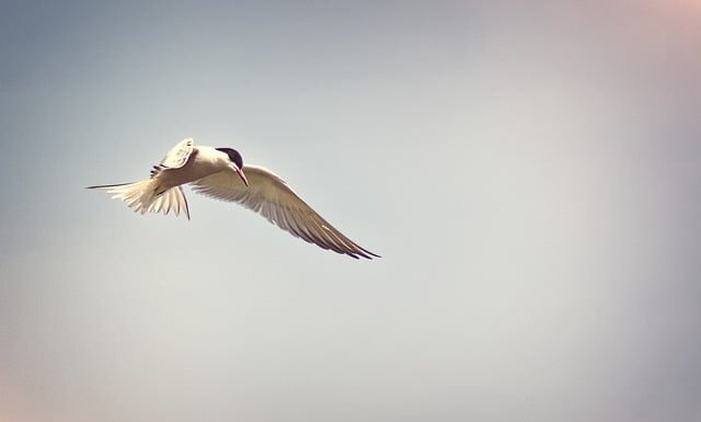 Jak usunąć zastój limfy pod oczami?