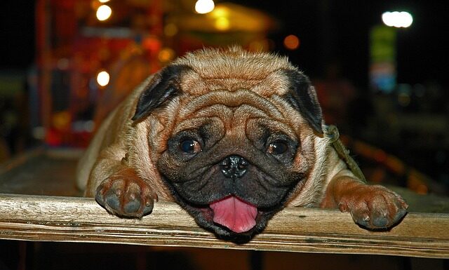 Co najlepiej działa przeciwzmarszczkowy?