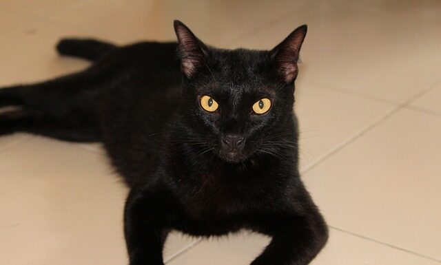 Jak szybko ogolić miejsca intymne?