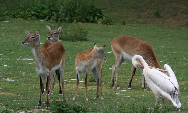 Co ile powinno się golić pachy?
