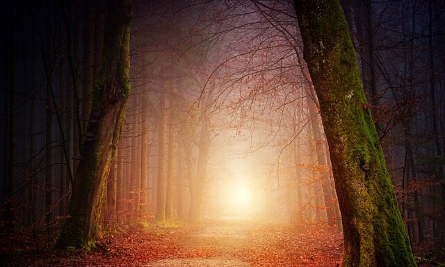 Jakie powinno być prawidłowe oświetlenie w salonie fryzjerskim?