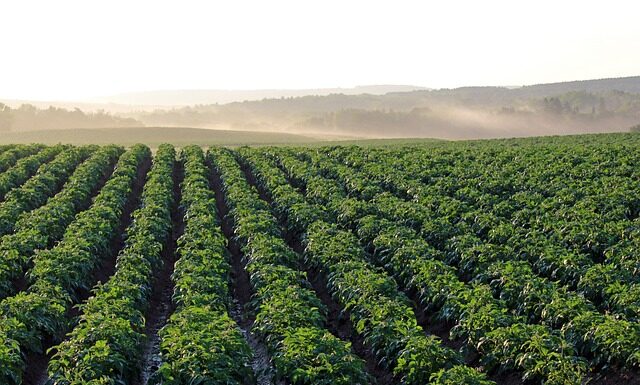 Jak długo goi się rana po laserze? Jak długo goi się rana po laserze?