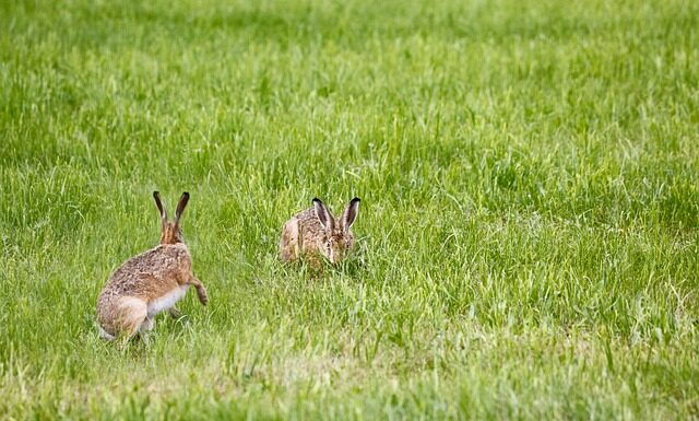 Jak wybrać lampę do paznokci?