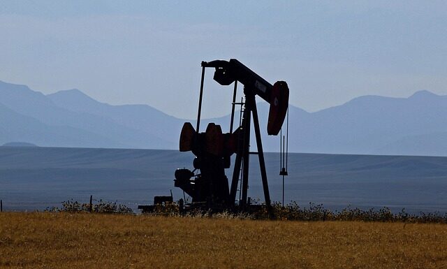 Co ile powinno się olejowa włosy?