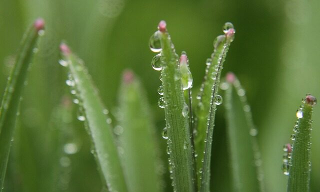 Czy one blade goli na zero?