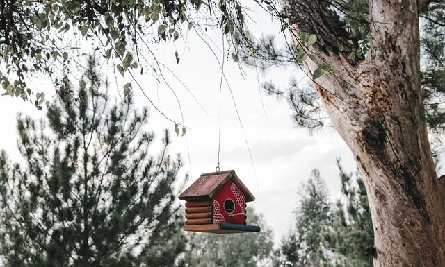 Czy po Szamponetce wraca naturalny kolor?