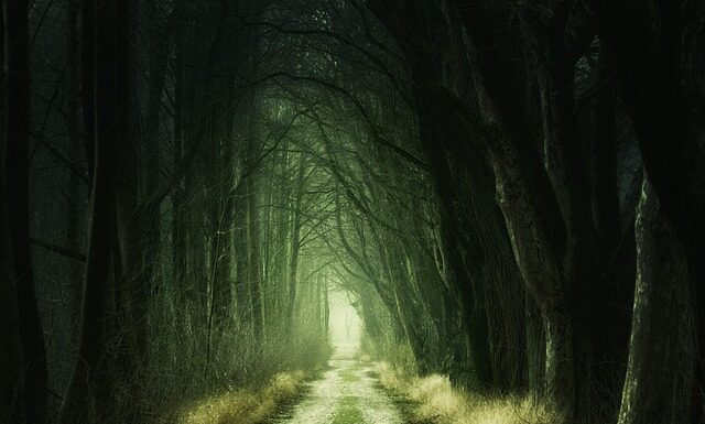 Czy zielony laser jest legalny? Czy zielony laser jest legalny?