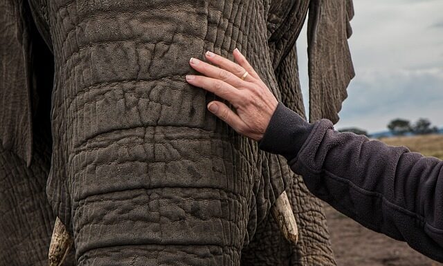 Czy lampa 24W utwardza żel?