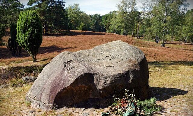 Co dobrze oczyszcza twarz?