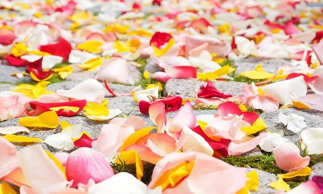 Co najpierw płatki pod oczy czy maseczka? Co najpierw płatki pod oczy czy maseczka?