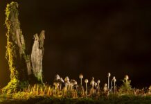 Jakie są rodzaje laserów? Jakie są rodzaje laserów?