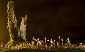 Jakie są rodzaje laserów? Jakie są rodzaje laserów?