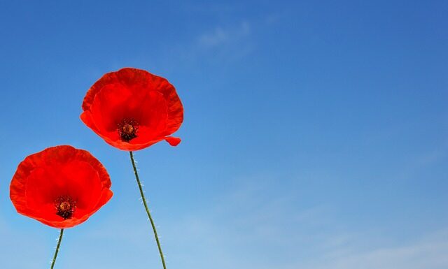 Czym najlepiej golić miejsca intymne damskie?