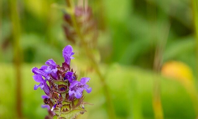 Ile kosztuje zrobienie trwałych loków?