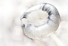 Jak się rysuje kreski?