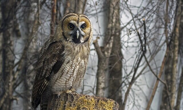 Co jest bardziej szkodliwe hybryda czy żel?