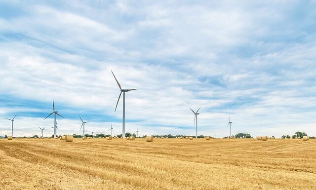 Jak często rolować twarz rollerem? Jak często rolować twarz rollerem?