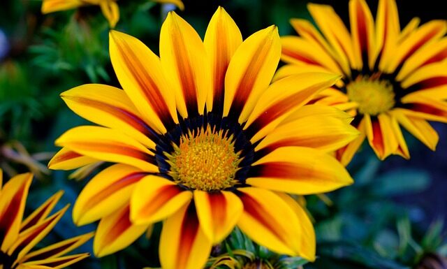 Co kupić na początek do hybryd? Co kupić na początek do hybryd?